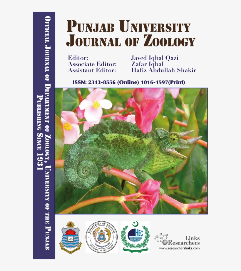 Dilute Sulphuric Acid Pretreatment Optimization Of - Government Of Pakistan, transparent png #7701542