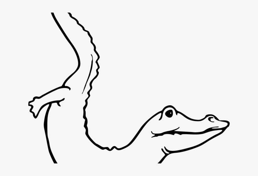Drawn Head Alligator - Clip Art, transparent png #7702365