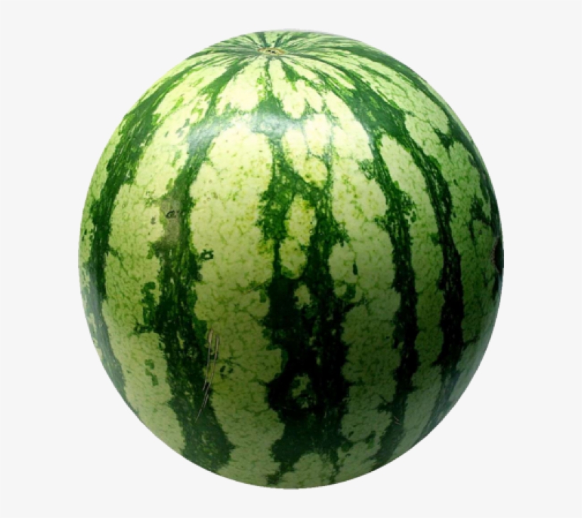 Watermelon Png Free Download - Water Melon Fruit, transparent png #7703001