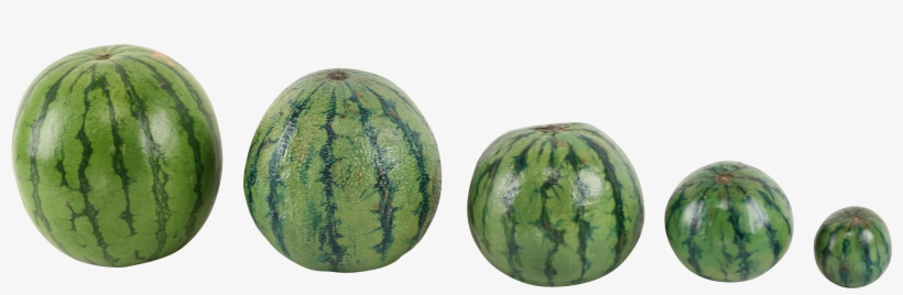 Watermelon, transparent png #7703254