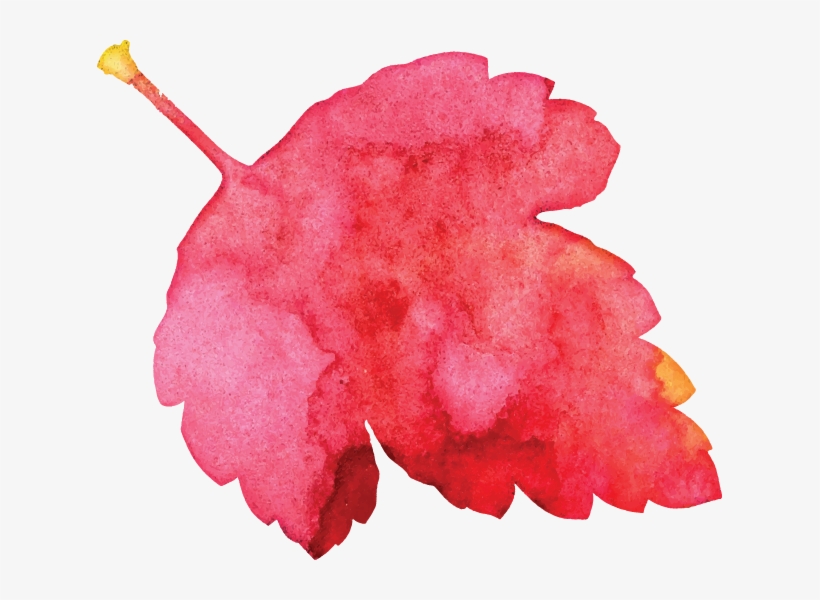 Leaf Pink Brush - Illustration, transparent png #7705655