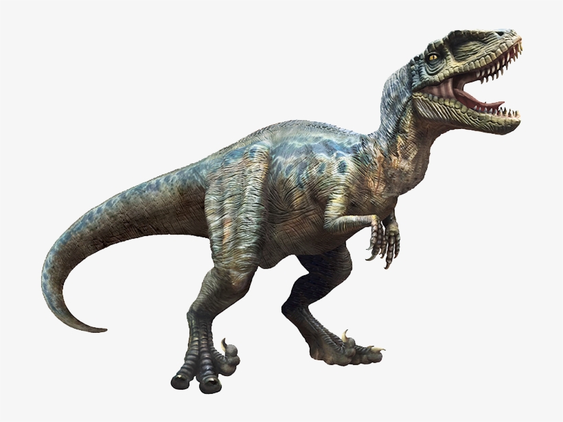 Illustration By Brooke Safken - Velociraptor, transparent png #7705861