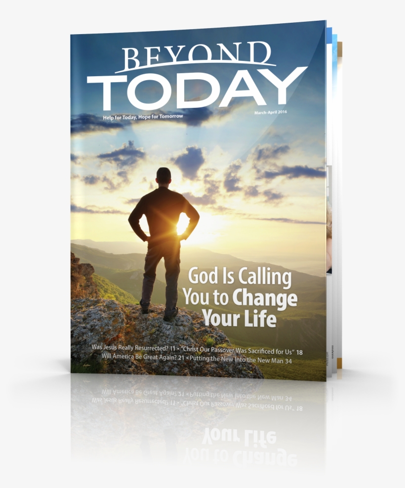 Mision De La Vida, transparent png #7706807