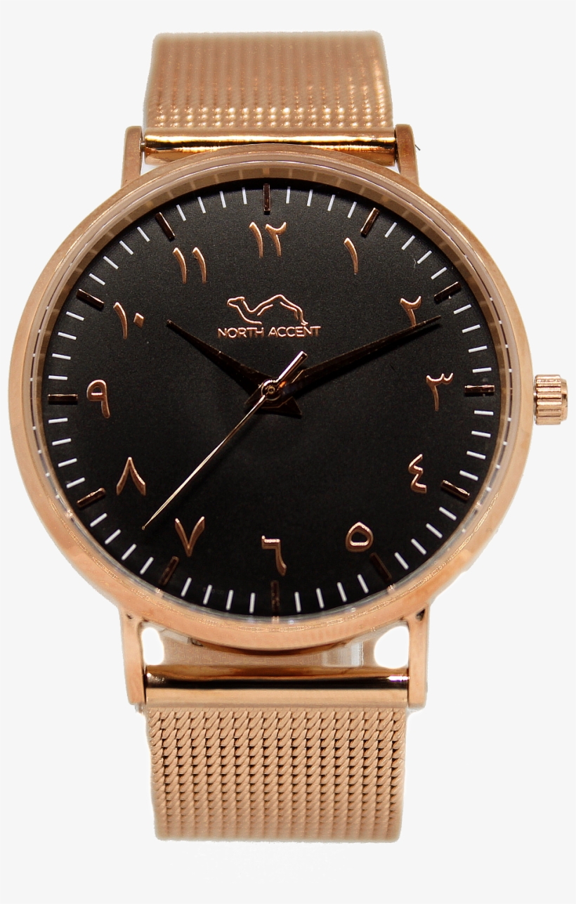 Rose Gold Stainless Steel - Orologio Daniel Wellington Donne, transparent png #7707488