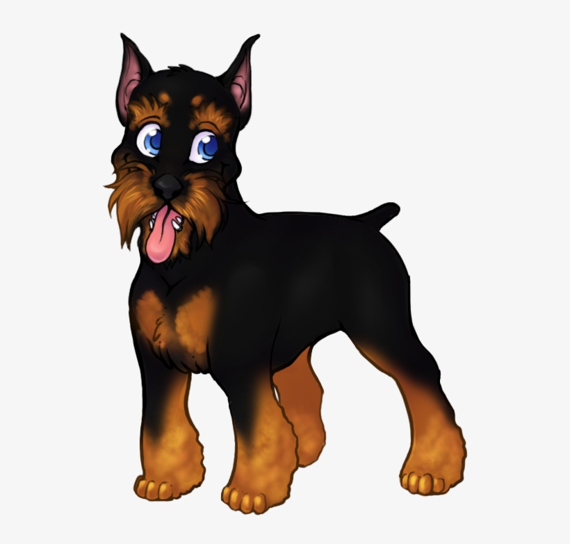 Doberman - Dobermann, transparent png #7708778