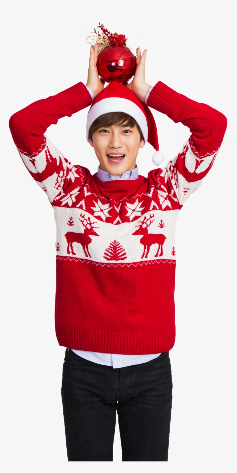 Exo Christmas Png, transparent png #7709842