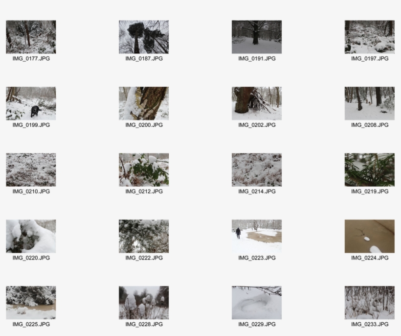 Picture - Animal, transparent png #7710947