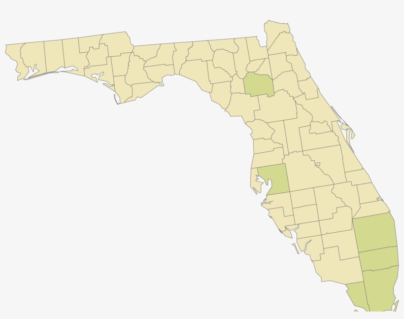 Legend - State - Vote In Florida, transparent png #7711316