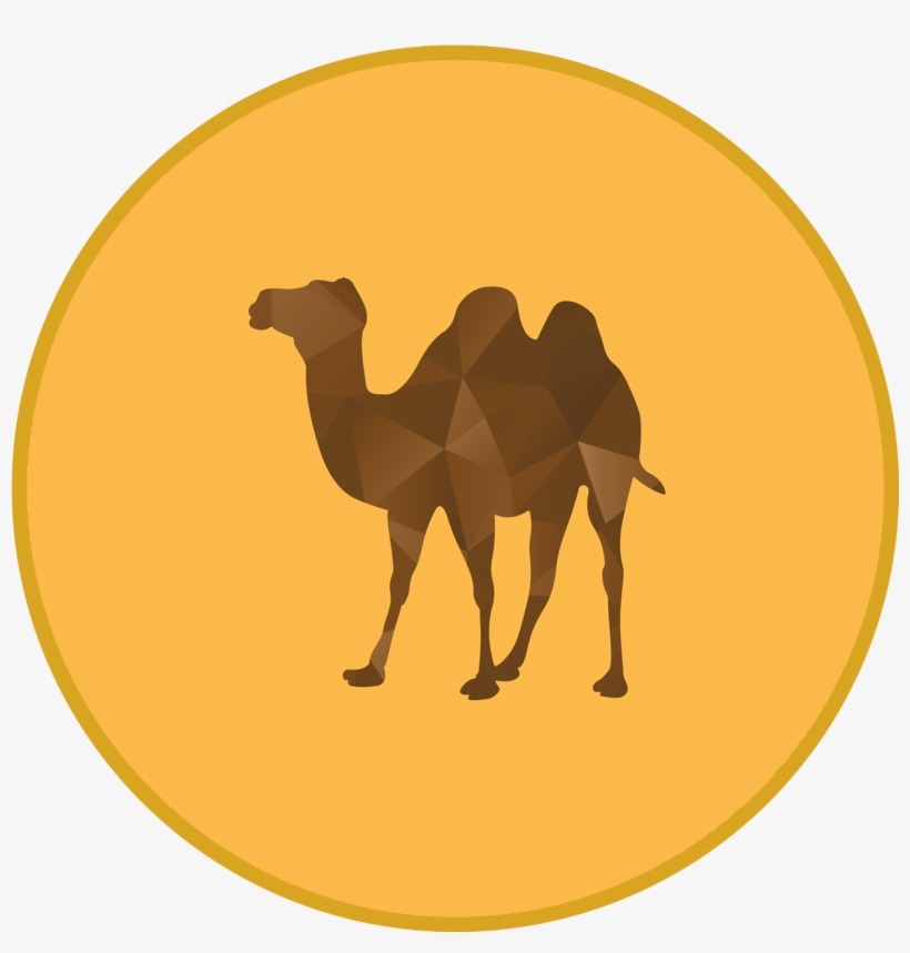 1701 X 1771 5 - Camel Silhouette No Background, transparent png #7711587