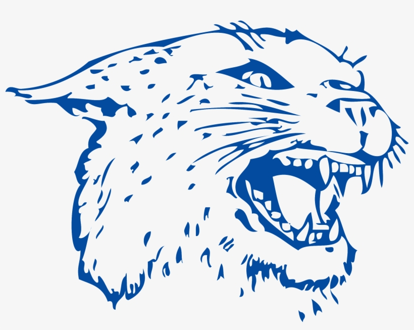 Colton School District - Colton Wildcats, transparent png #7711692