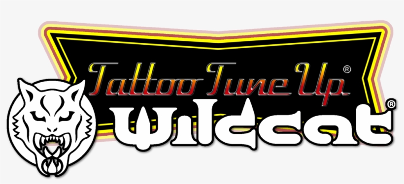 Thanks For Entering - Wildcat Piercing, transparent png #7711993