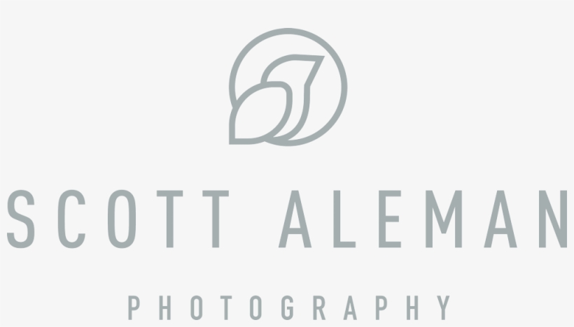 Scott Aleman Photography - Calligraphy, transparent png #7712280