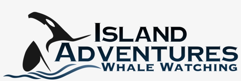 Newest Fastest Safest Vessel In Washington State Island - Island Adventures Whale Watching, transparent png #7713096