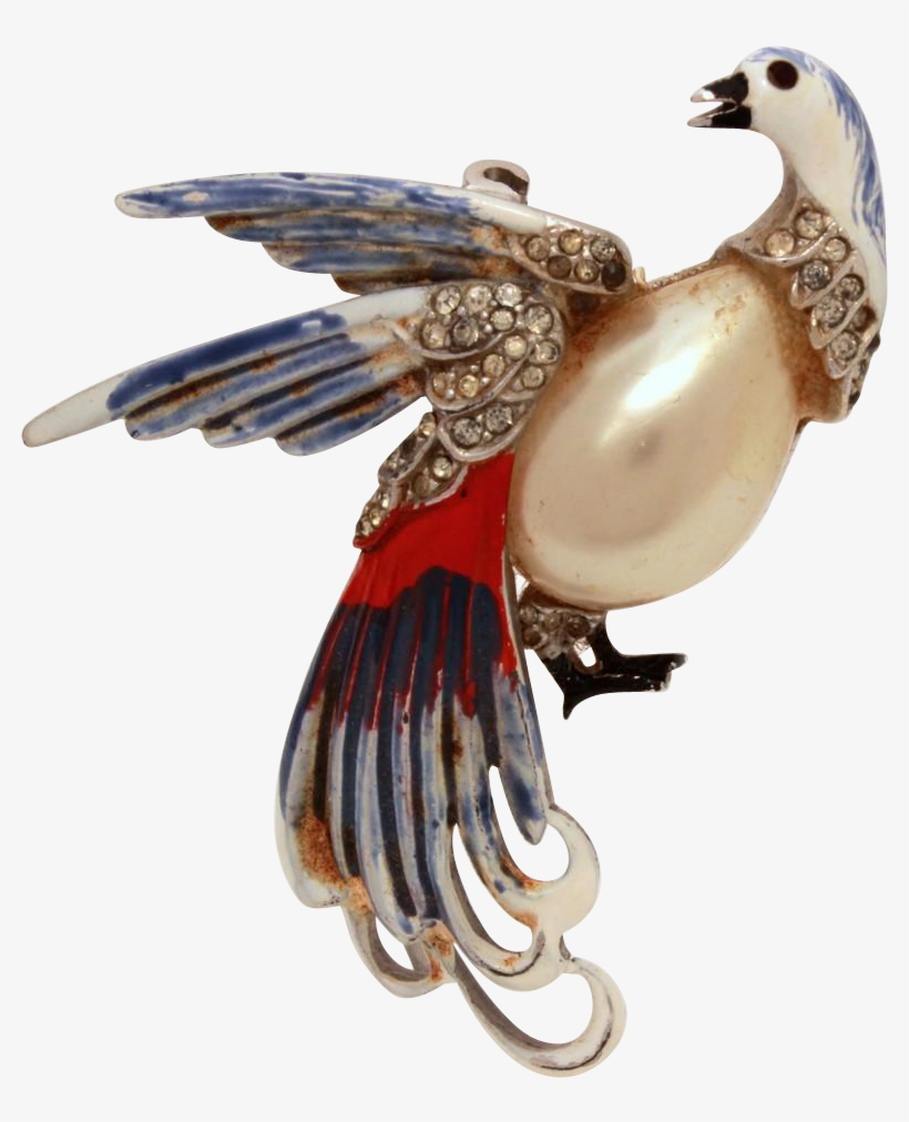 1940s Bird Of Paradise Pin Red White Blue Cold Enamel - Peafowl, transparent png #7713134