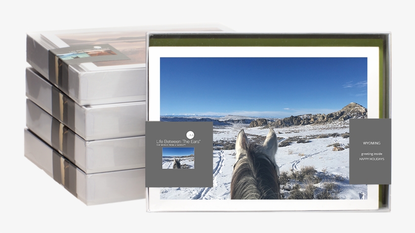 Holiday Cards, transparent png #7713578