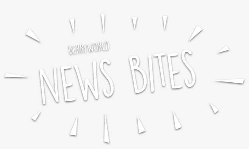 Blueberry Day Recipe Galore - Calligraphy, transparent png #7713981