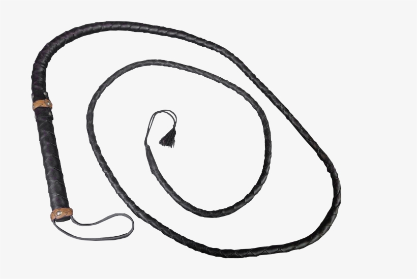 Whip Png, transparent png #7714045