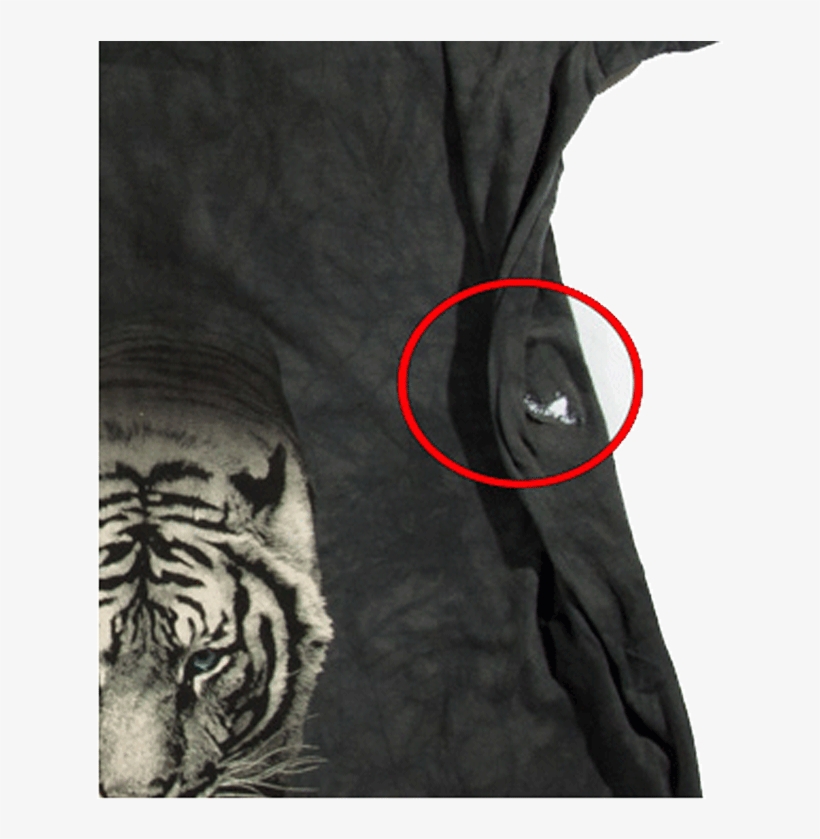 Футболка С Дефектом White Tiger Stripe - Siberian Tiger, transparent png #7714689