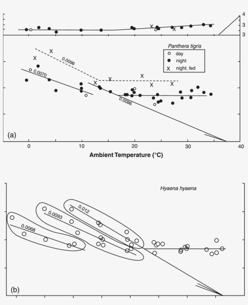 Rate Of Metabolism And Body Temperature As A Function - Diagram, transparent png #7714759