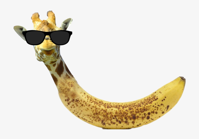 Registered User - Bananas Best To Eat, transparent png #7716851