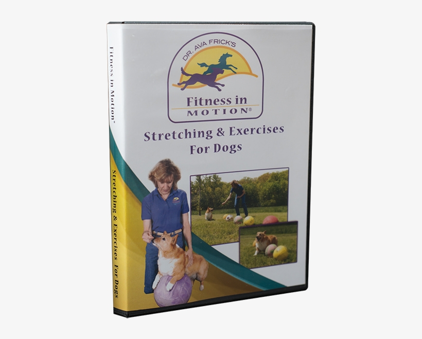 Stretching - Rabbit, transparent png #7718988