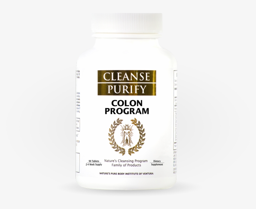 Colon Program - Lung, transparent png #7720940