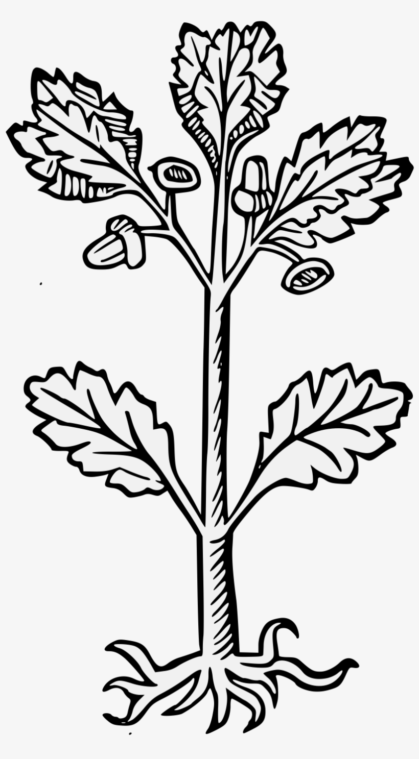 Details, Png, transparent png #7721106