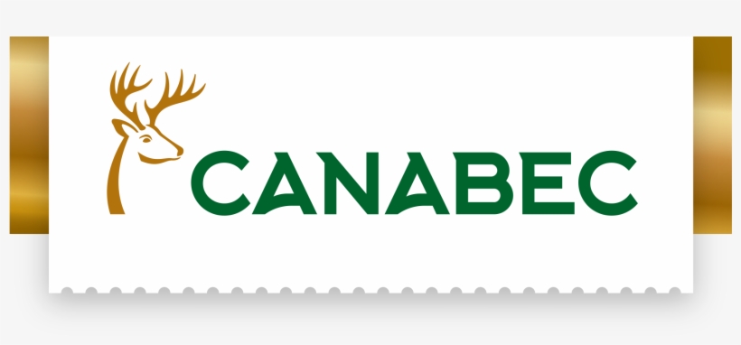 Quail Eggs, transparent png #7721986