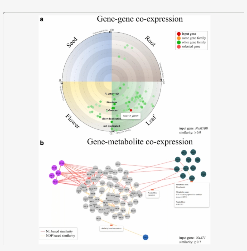 Examples Of Visualization On Co Expressed Genes And - Modelos De Máscara De Carnaval, transparent png #7722518