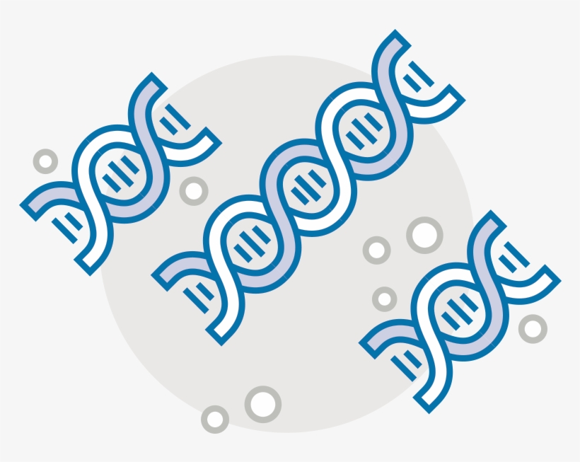 Being Able To Detect Chromosomal Abnormalities, Screen - Illustration, transparent png #7722674