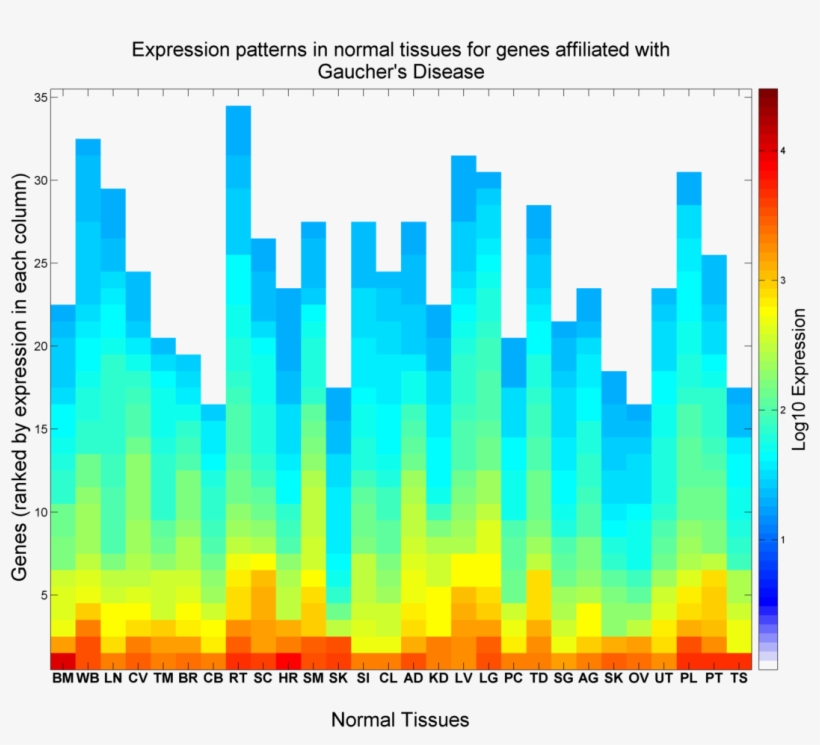 Expression Patterns In Normal Tissues For Genes Affiliated - Graphic Design, transparent png #7722855