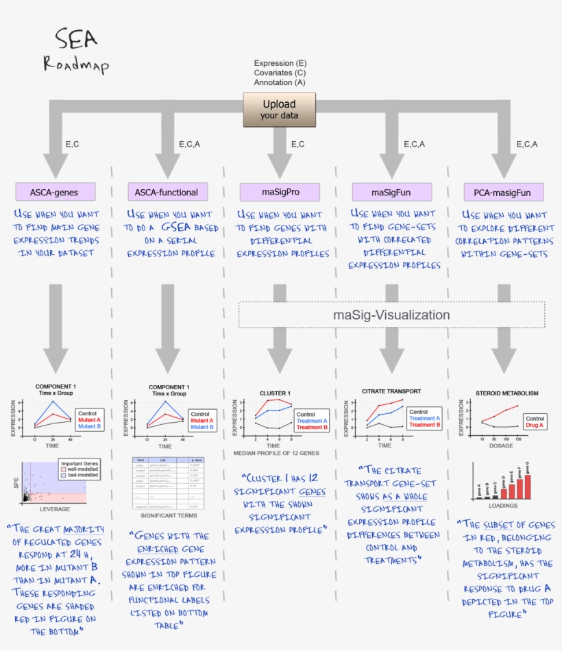 The Site Offers Five Different Methodologies For The - Diagram, transparent png #7723570