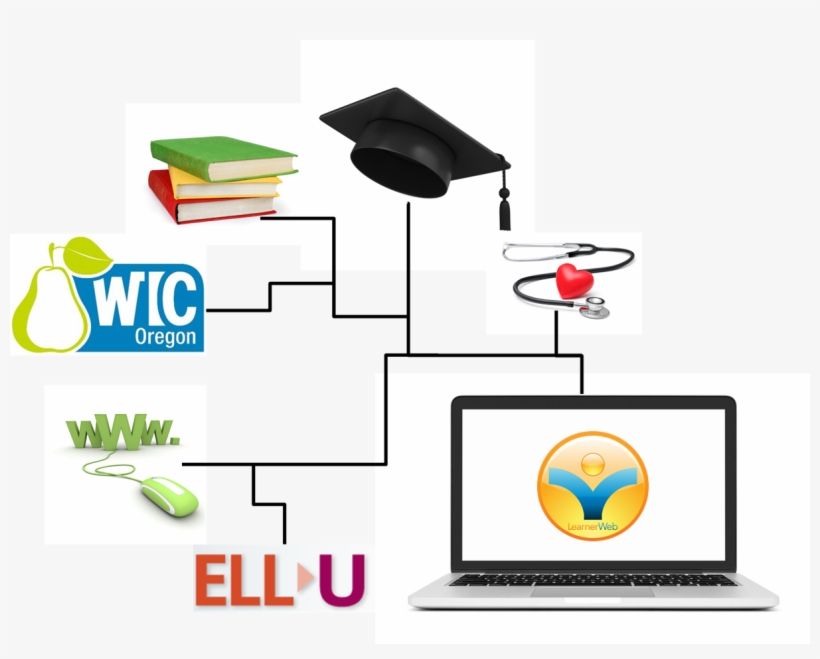 Web, transparent png #7723989