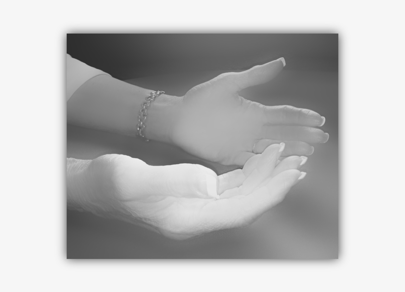 Both Hands - Holding Hands, transparent png #7724572