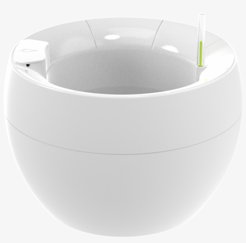 Branco - Circle, transparent png #7725163