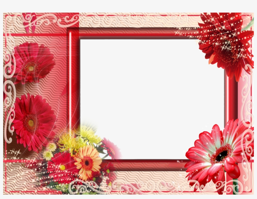 Margaritas - De-colores - Para - La - Foto - De - Tu - Floral Frame, transparent png #7726028