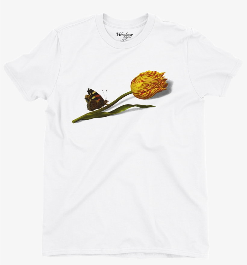 Solace Tee - Brown Thrasher, transparent png #7729129