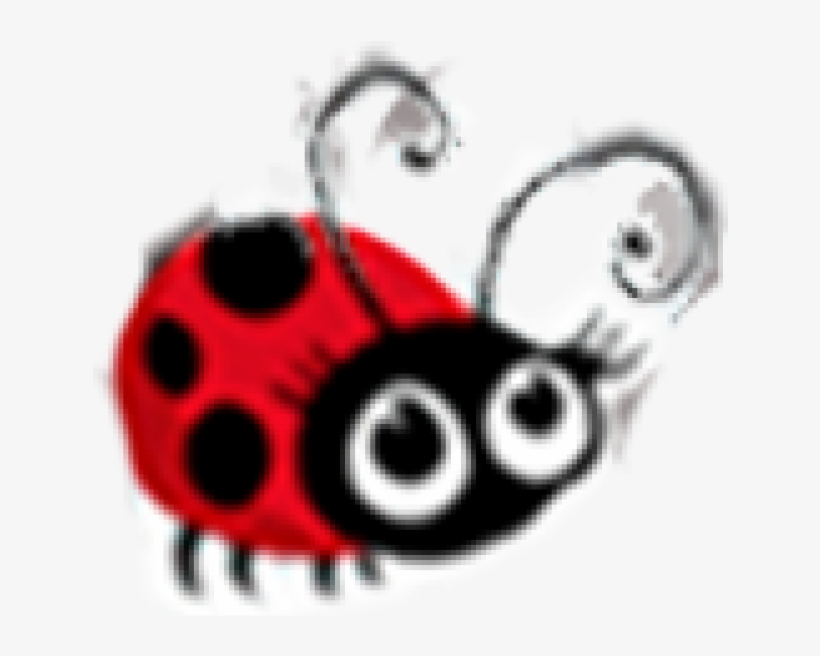 Ladybug, transparent png #7729178