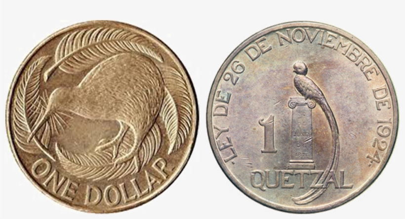 A Kiwi And A Quetzal - New Zealand, transparent png #7730937