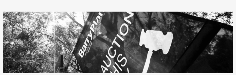 Barry Plant Sunshine - Monochrome, transparent png #7730974