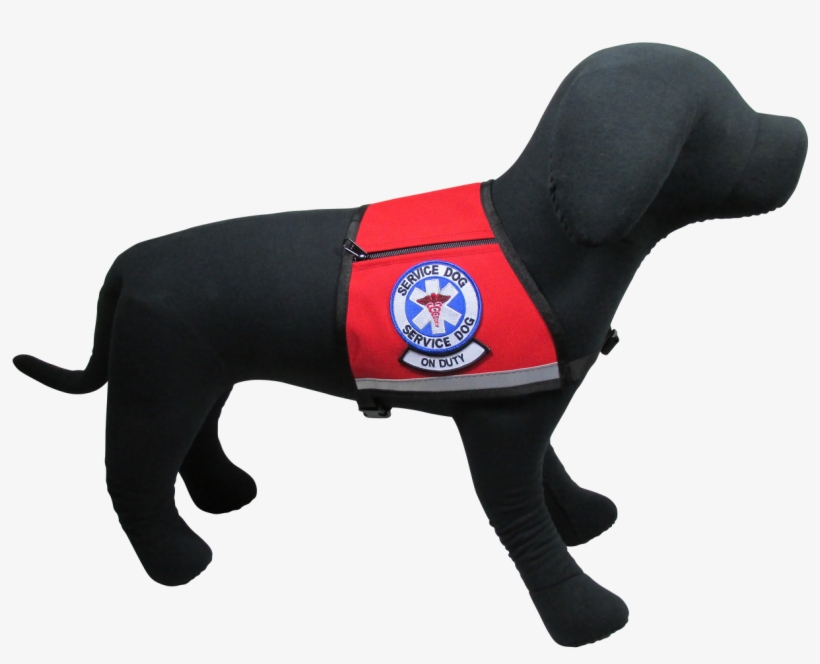 Service Dog, On Duty Reflective Vest - Dachshund, transparent png #7731668