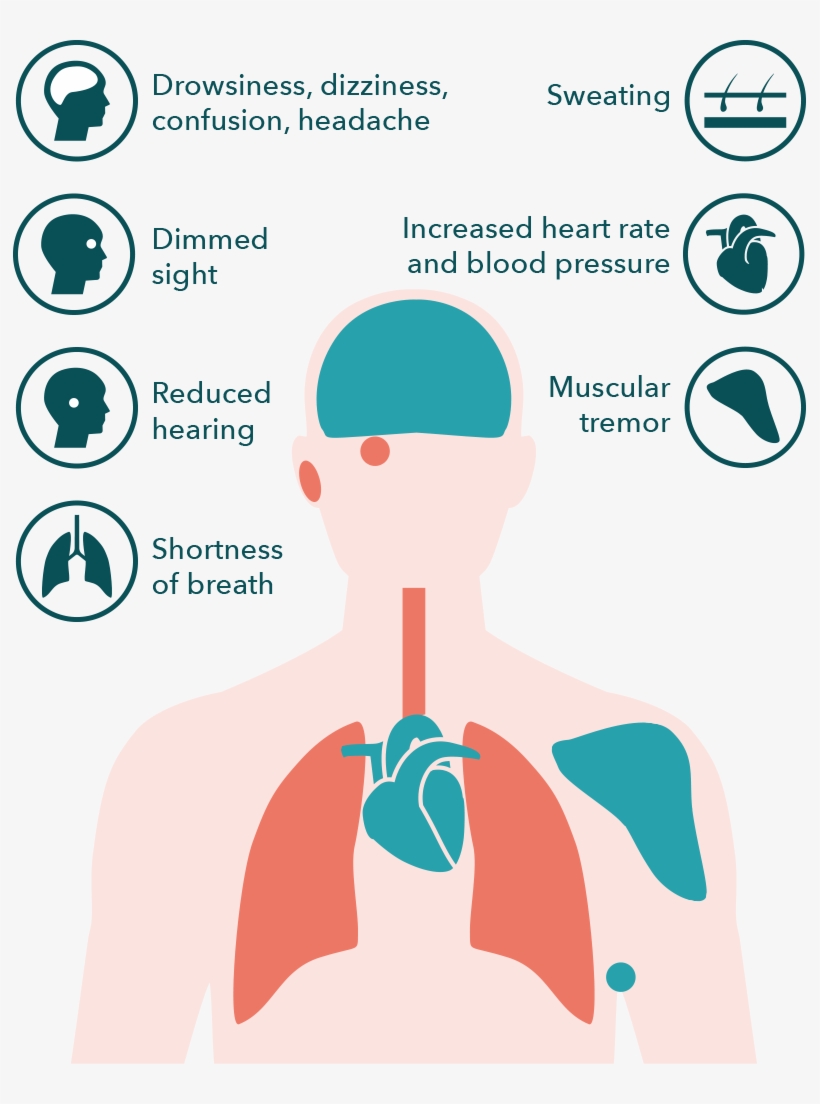 What Are The Effects Of Co2 - Effects Of Co2, transparent png #7731676