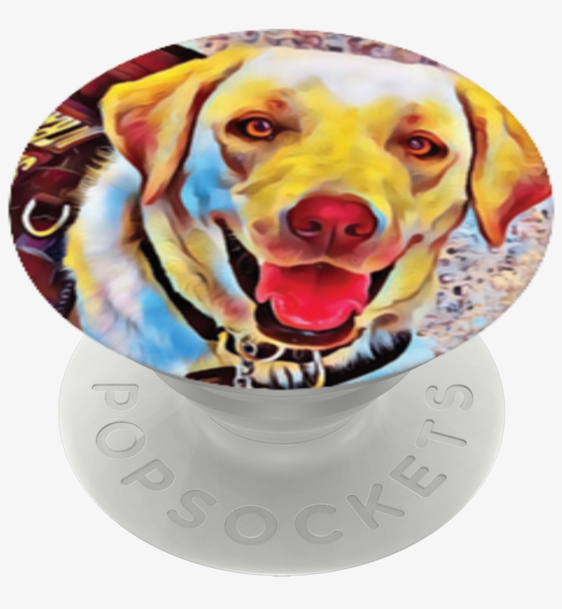 Bobbi The Service Dog,, transparent png #7731889