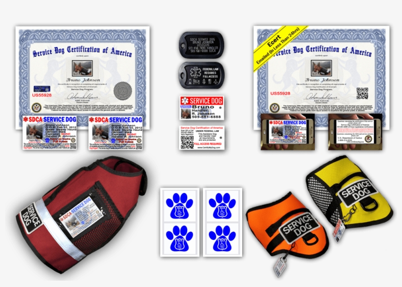 Standard Service Dog Pkg - Poker, transparent png #7732495