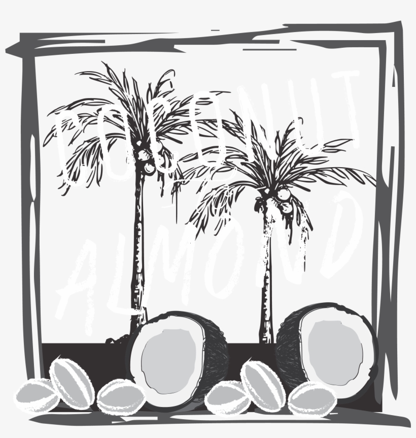 Delicious Dairy -free Nut Milks And Drinks Offer A, transparent png #7732868