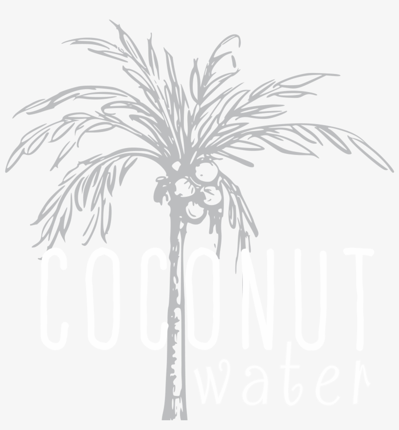 Fat Free, Cholesterol Free And Low In Calories, Cocunut - Illustration, transparent png #7732907