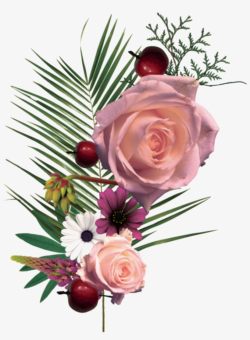Hand Painted Gestures Diverse Flowers Png Transparent - Garden Roses - Free Transparent  PNG Download - PNGkey