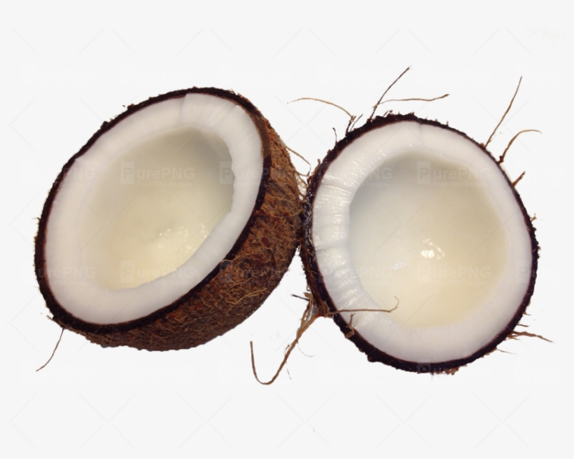 Cocunut Tree Png, transparent png #7733122