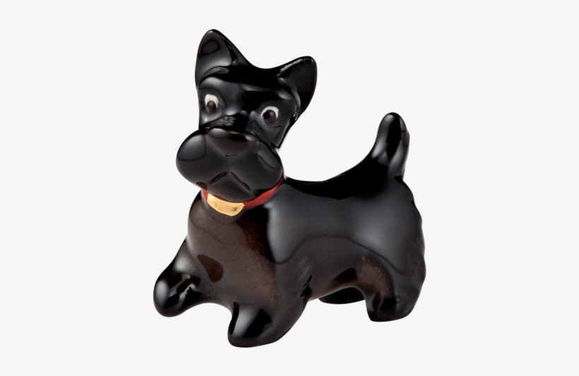 More Views - Companion Dog, transparent png #7733527