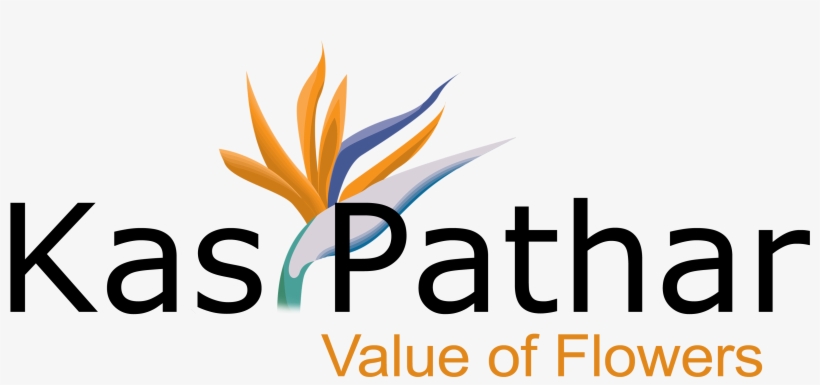 Money Movers, transparent png #7736377